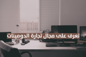 Read more about the article كيفية الربح من تجارة الدومينات في سنة 2024