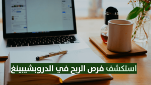 Read more about the article معلومات عن مجال الدروبشيبينغ